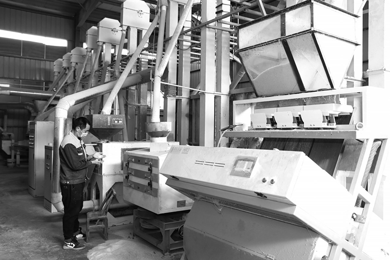 隆平富硒大米(隆回富硒大米)-硒宝网