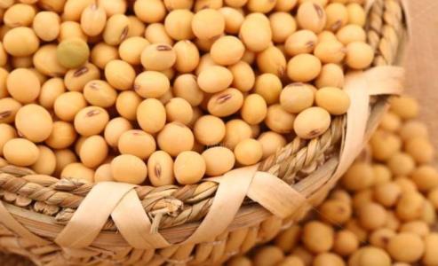 补钠的食物（钠怎么食补）-硒宝网