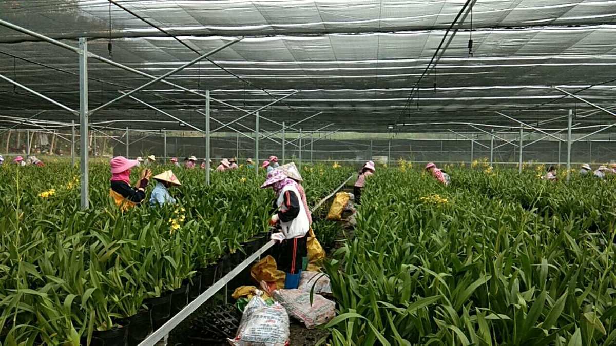 晴兰富硒大米(富硒大米标准)-硒宝网