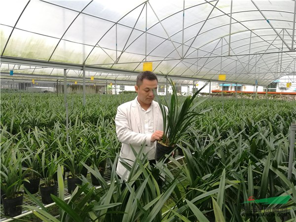 晴兰富硒大米(富硒大米标准)-硒宝网