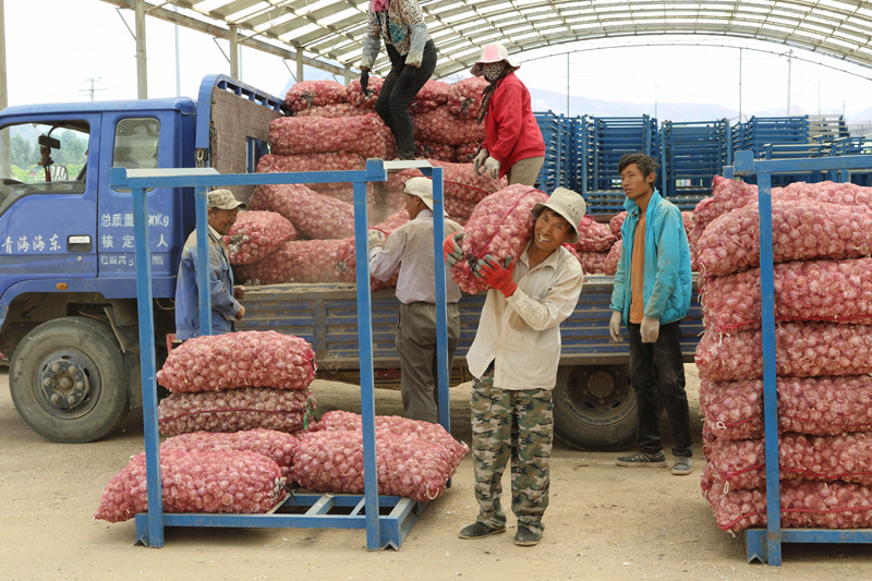 富硒大米價格（大米富硒价格多少）-硒宝网