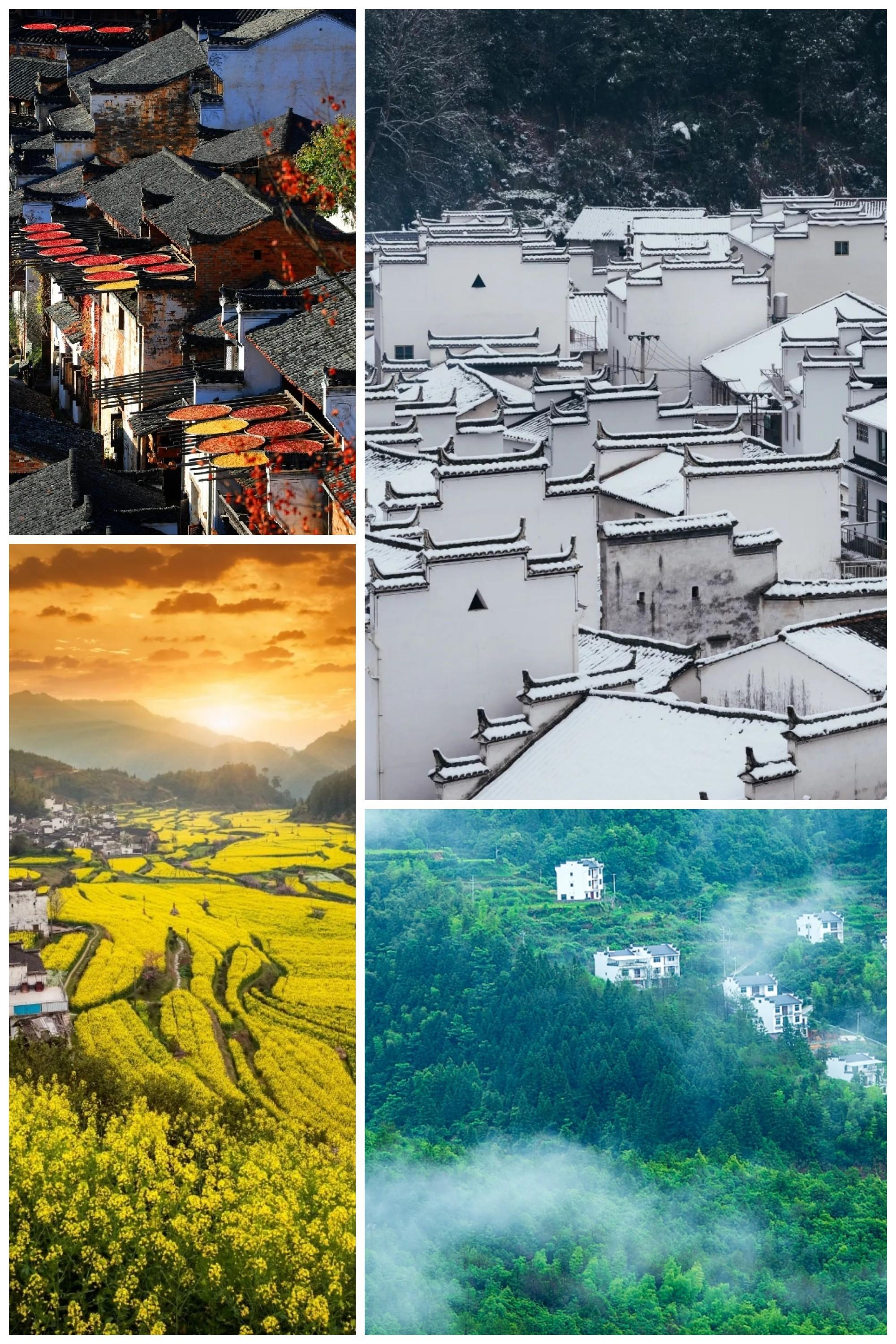 赣皇富硒大米(富硒的大米)-硒宝网