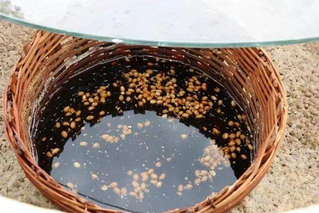 富硒大米黄吗（富硒大米发黄吗）-硒宝网