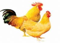 万载富硒大米（江西富硒米的好处）-硒宝网