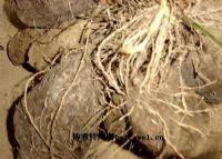 万载富硒大米（江西富硒米的好处）-硒宝网