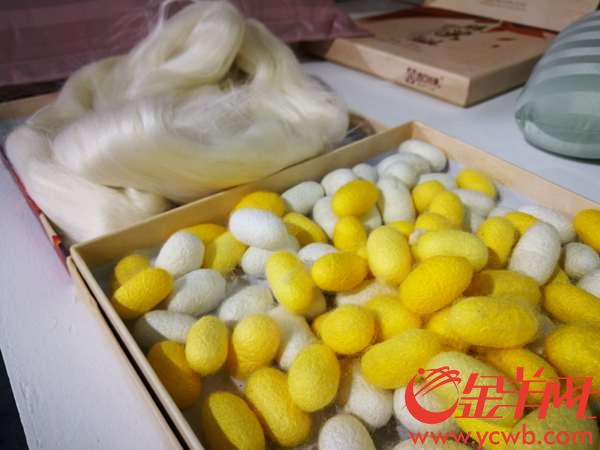 陆川富硒大米(富硒大米原产地在哪里)-硒宝网