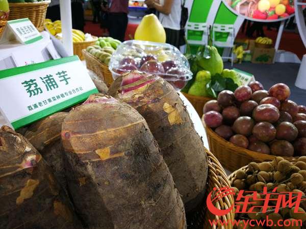 陆川富硒大米(富硒大米原产地在哪里)-硒宝网