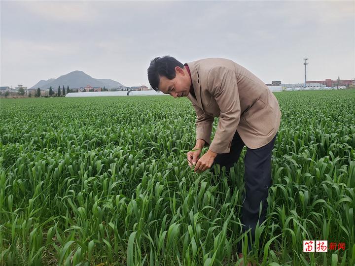 宏芳富硒大米（富硒大米多少钱一斤）-硒宝网
