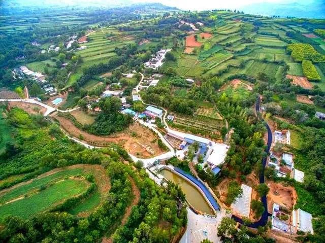 富硒地瓜粉条(富硒红薯粉条)-硒宝网