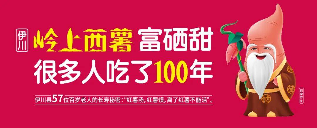 宁阳富硒地瓜(地瓜富硒宁阳能种植吗)-硒宝网