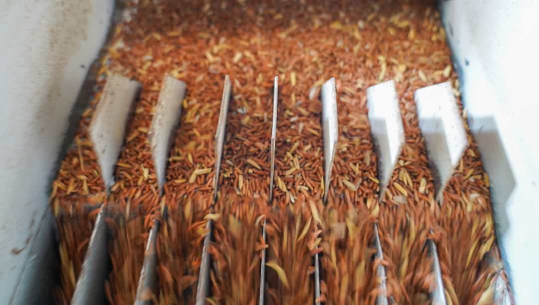 千亩富硒大米(五常大米富硒)-硒宝网