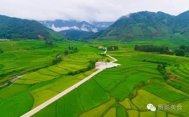 富硒大米黄色(大米黄色富硒含量高吗)-硒宝网