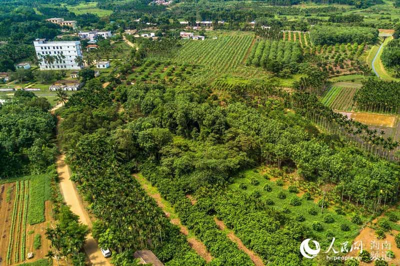 ?？诟晃毓希êＤ细晃毓鲜嵌镜毓下穑?硒宝网