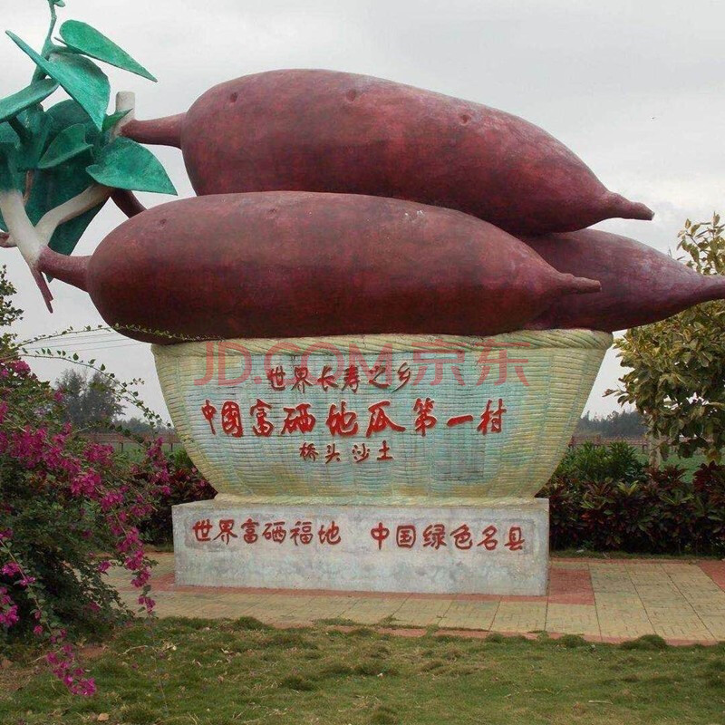 富硒桥头地瓜（桥头富硒地瓜怎么区分真假）-硒宝网