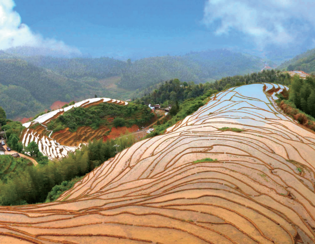 三明富硒大米(鲜明富硒大米)-硒宝网