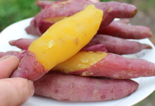 富硒有机地瓜(富硒地瓜好吃吗)-硒宝网