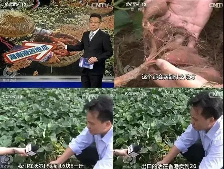 富硒地瓜含量（地瓜富硒标准）-硒宝网