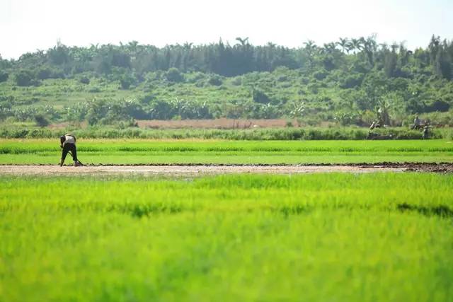 富硒有机地瓜（富硒地瓜口感怎样）-硒宝网