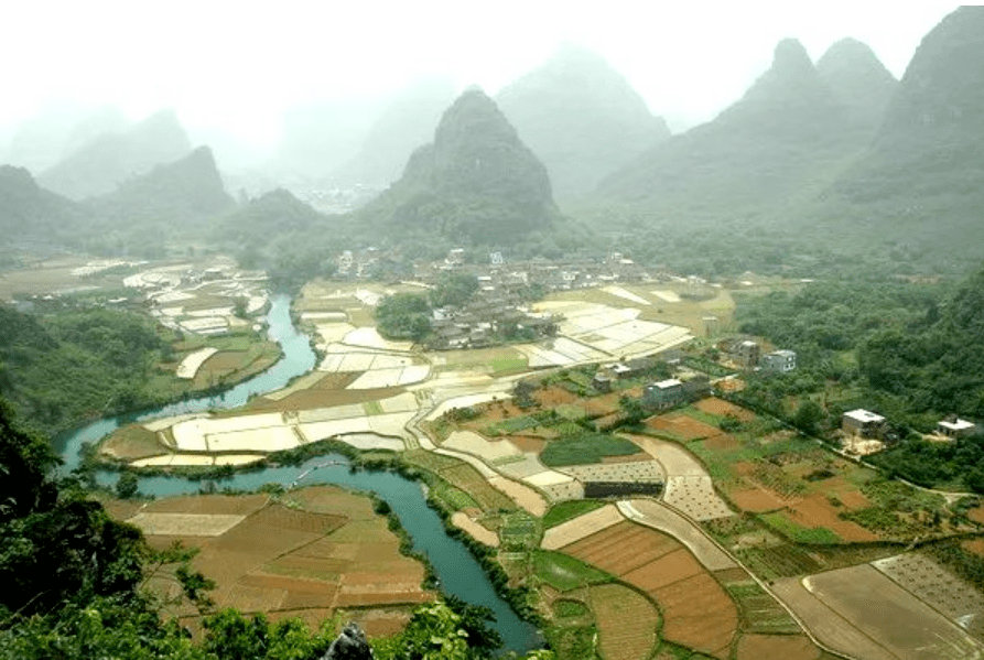 陆川富硒大米(富硒大米好在哪)-硒宝网