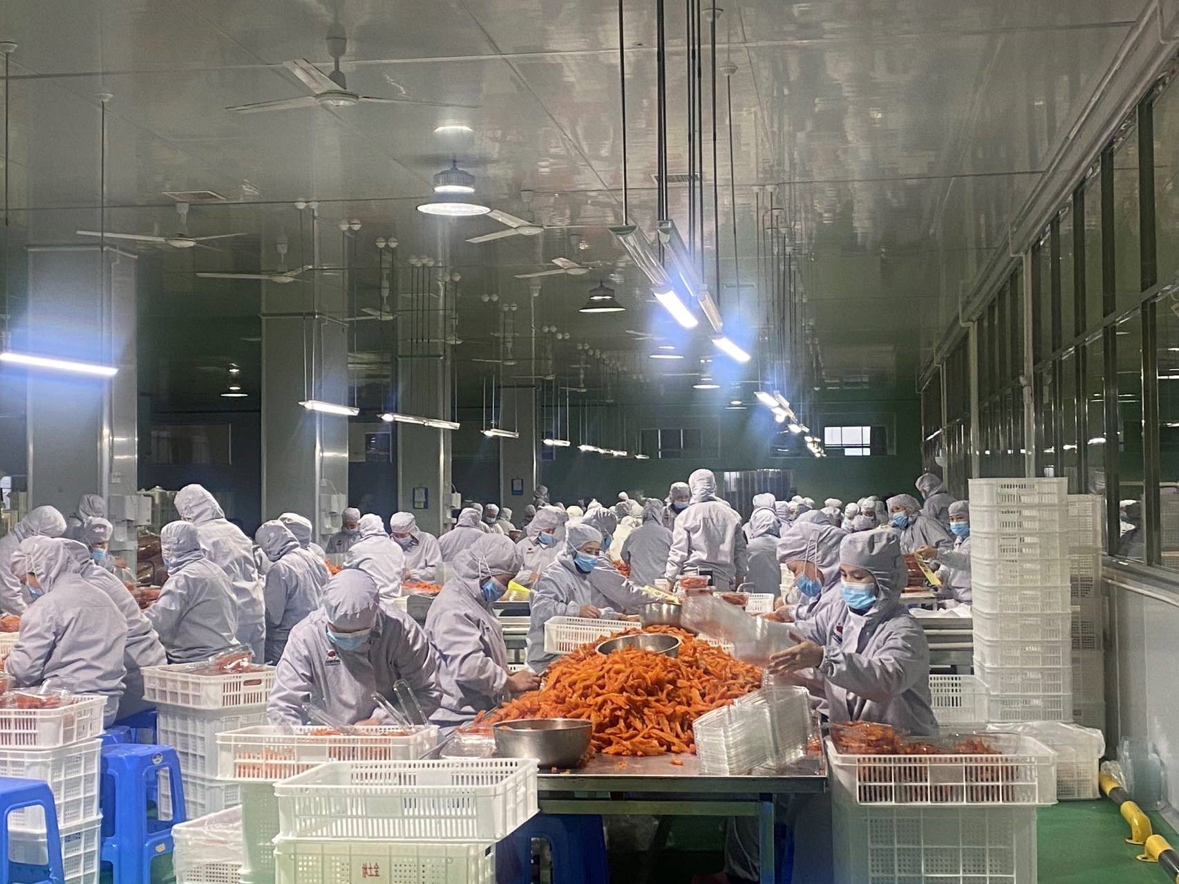 富硒地瓜加工（富硒地瓜种植技术视频教程）-硒宝网