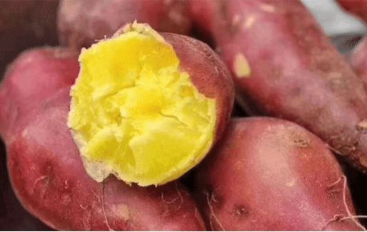富硒地瓜新鲜（新鲜地瓜富硒含量高吗）-硒宝网