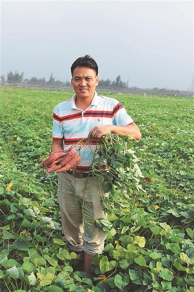 湖北富硒地瓜(富硒地瓜产地有哪些)-硒宝网