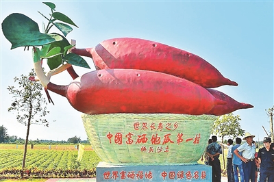 湖北富硒地瓜(富硒地瓜产地有哪些)-硒宝网