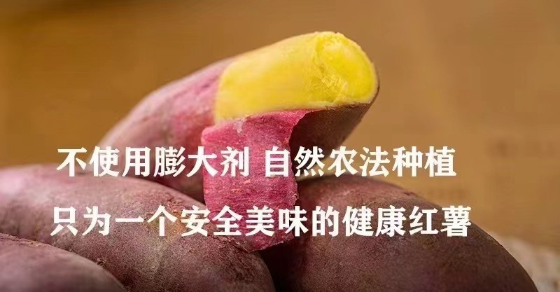 沙土富硒地瓜（富硒地瓜真的含硒吗）-硒宝网