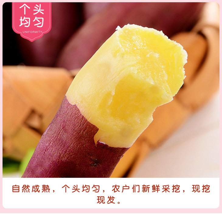 沙土富硒地瓜（富硒地瓜真的含硒吗）-硒宝网