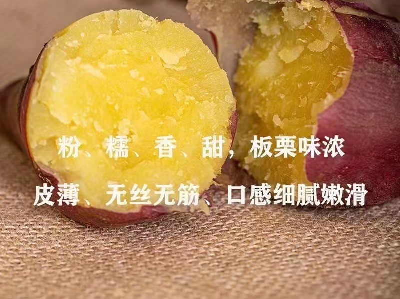 沙土富硒地瓜（富硒地瓜真的含硒吗）-硒宝网