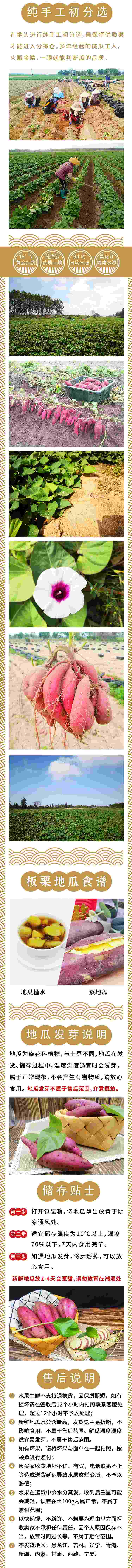 沙土富硒地瓜（富硒地瓜真的含硒吗）-硒宝网