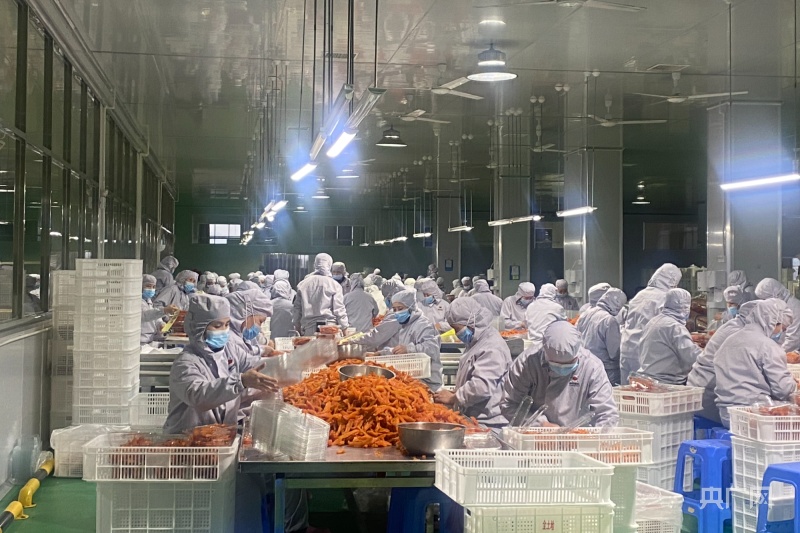 富硒地瓜加工(富硒地瓜与普通地瓜的区别)-硒宝网