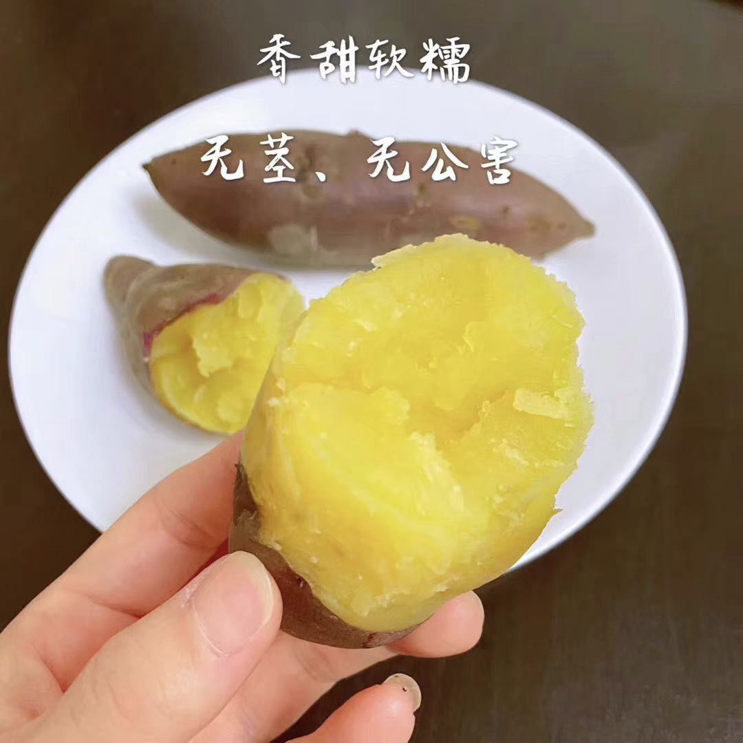 富硒板栗地瓜(板栗地瓜富硒的作用)-硒宝网