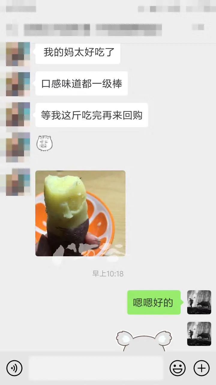 富硒板栗地瓜(板栗地瓜富硒的作用)-硒宝网