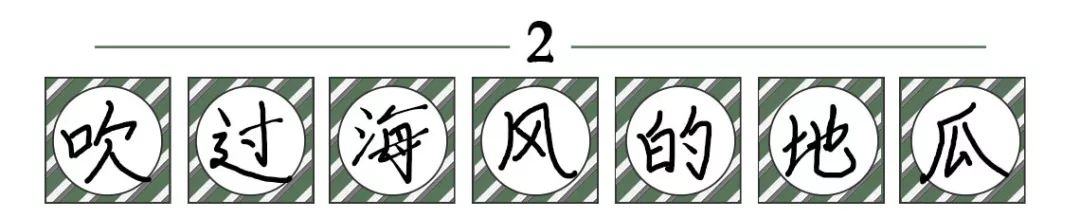 富硒板栗地瓜(板栗地瓜富硒的作用)-硒宝网