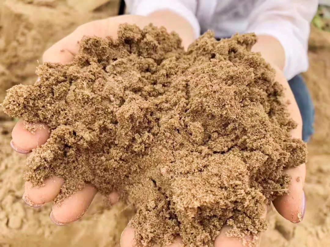 富硒板栗地瓜(板栗地瓜富硒的作用)-硒宝网