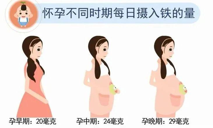 孕期需要补铁吗(孕期补铁需要补到生吗)-硒宝网