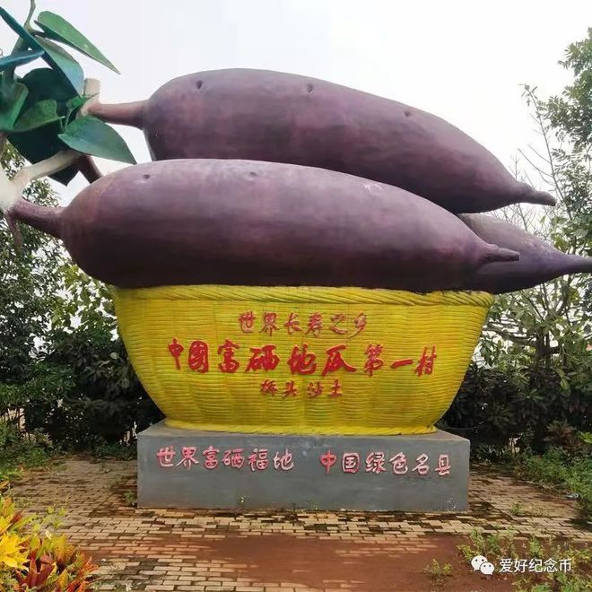 河南富硒地瓜(河南地瓜富硒含量多少)-硒宝网