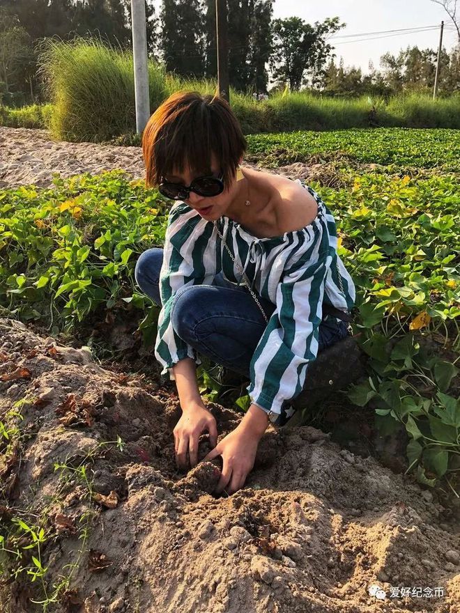 河南富硒地瓜(河南地瓜富硒含量多少)-硒宝网