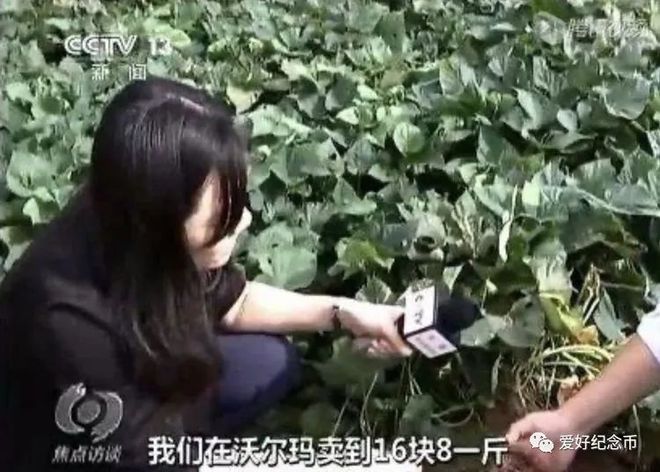 河南富硒地瓜(河南地瓜富硒含量多少)-硒宝网