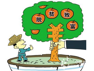 山口富硒地瓜（海南山口地瓜）-硒宝网