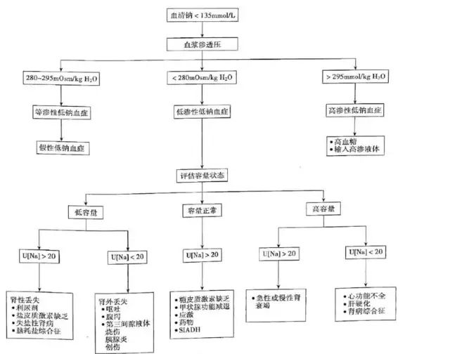 怎么补钠(钠补什么)-硒宝网