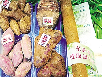 临高富硒地瓜（富硒地瓜营养价值）-硒宝网