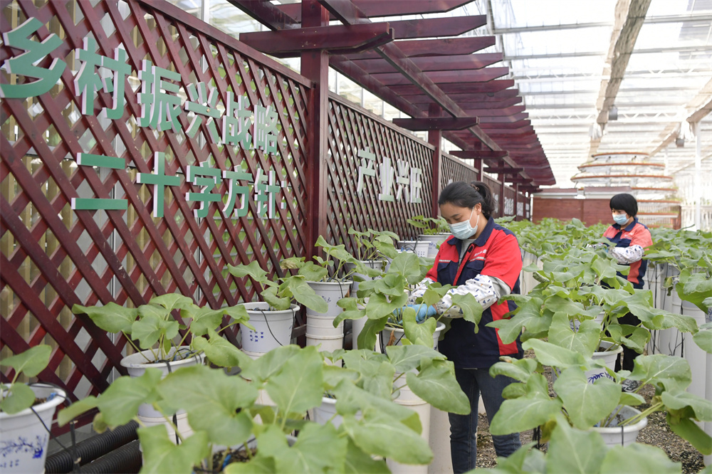 五彩富硒大米（富硒大米的颜色）-硒宝网