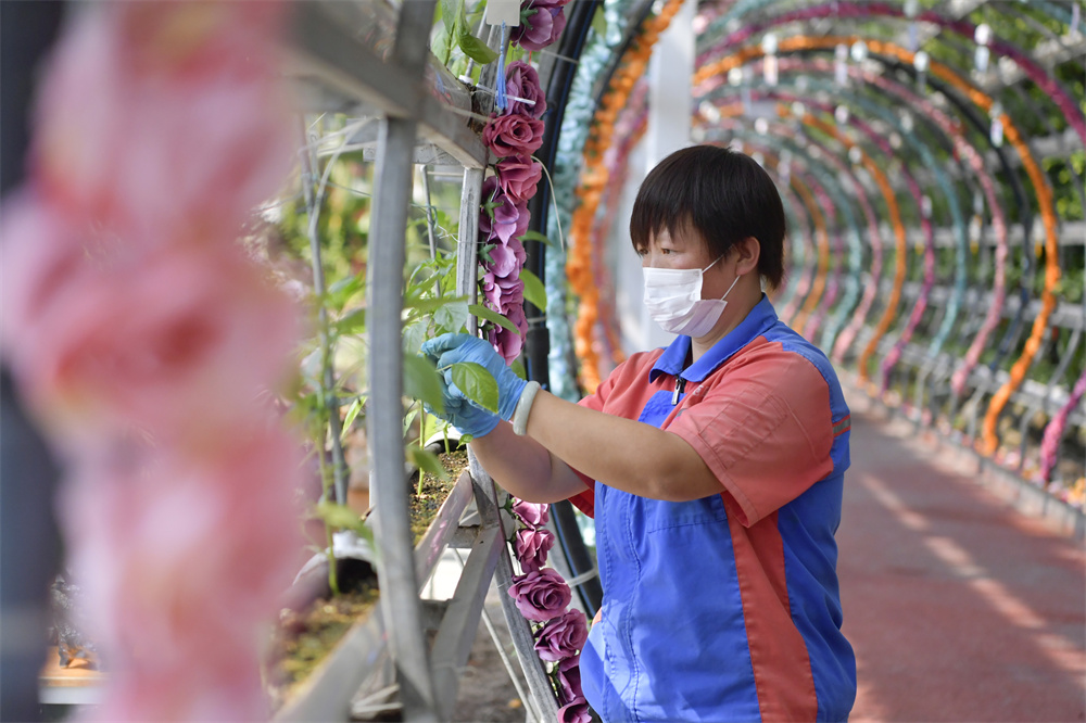 五彩富硒大米（富硒大米的颜色）-硒宝网