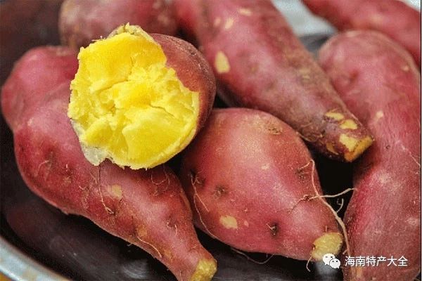 富硒地瓜发货(富硒地瓜是转基因的吗)-硒宝网