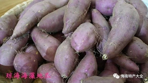 富硒地瓜发货(富硒地瓜是转基因的吗)-硒宝网