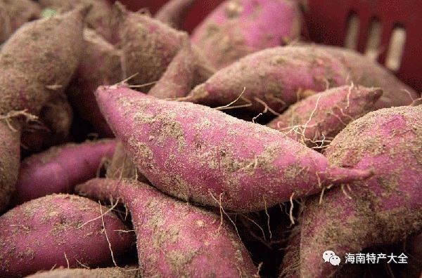 富硒地瓜发货(富硒地瓜是转基因的吗)-硒宝网