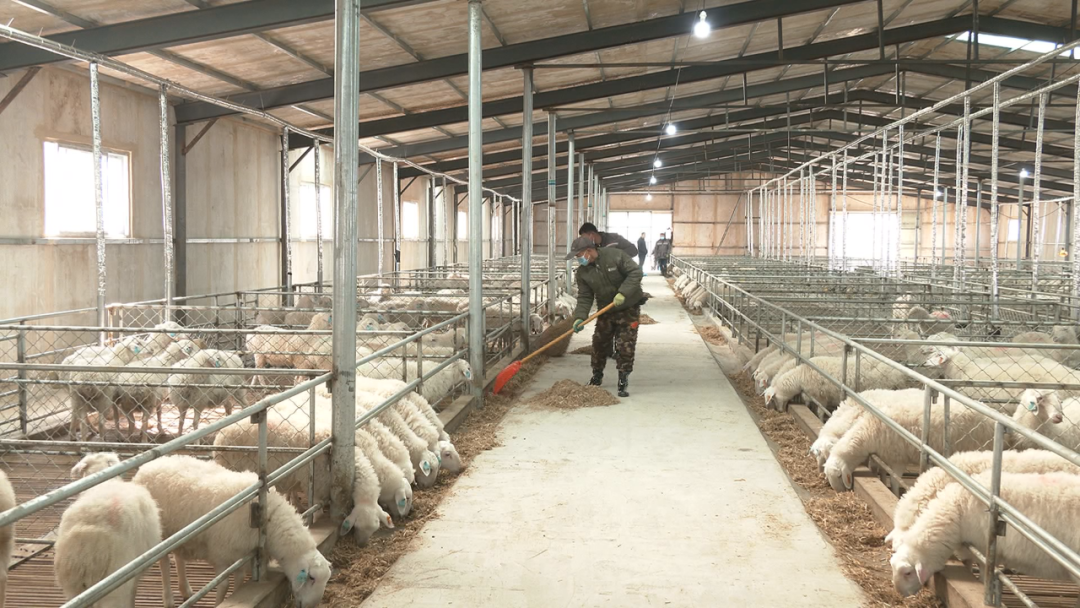 胶州富硒地瓜(富硒地瓜口感怎样)-硒宝网