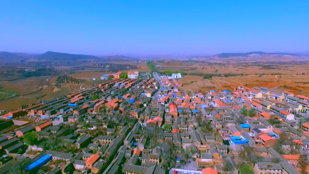 胶州富硒地瓜(富硒地瓜口感怎样)-硒宝网